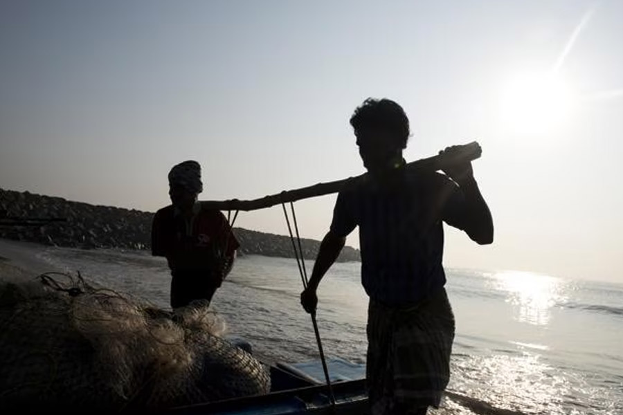 ভারতে যে সব মাছ পাওয়া যায়, তার মধ্যে অন্যতম বড় এই মাছ। এক থেকে দেড় মিটার পর্যন্ত লম্বা হয় এই মাছ। মাছ আকারে যত বড় হবে, তার দামও হবে তত বেশি। বাজারেও বড় মাছের কদর, চাহিদা দুই-ই বেশি।