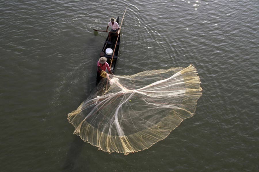ঘোল মাছের রহস্য লুকিয়ে আছে তার পেটের ভিতর। এই মাছের পটকা অত্যন্ত কার্যকরী। পটকার গুণেই দাম বেড়েছে ঘোলের। মাছটি জালে ধরা পড়লে আগে পেট কেটে পটকা বার করা হয়। মাছ এবং পটকা আলাদা ভাবে বাজারে বিক্রি হয়।