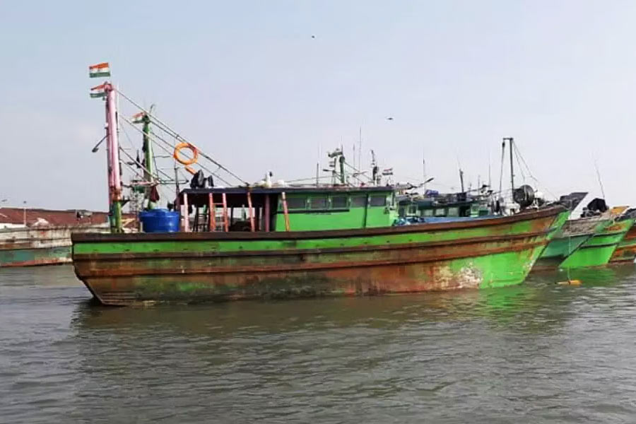 ঘোল মাছের পটকাটির ঔষধিগুণ রয়েছে। অনেক জটিল, বিরল রোগের ওষুধ তৈরিতে এই পটকা কাজে লাগে। এটি মুম্বই বন্দর থেকে বিদেশে রফতানিও করা হয়। অর্থাৎ, দেশে বিদেশি মুদ্রাও এনে দেয় ঘোল।