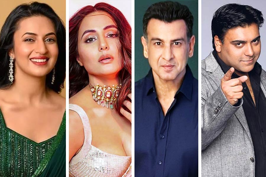 হিন্দি ধারাবাহিকের জগতে এমন বহু তারকা রয়েছেন পারিশ্রমিকের নিরিখে যাঁরা বলিপাড়ার তাবড় তারকাদেরও টেক্কা দেন। এই তালিকায় রয়েছে দিব্যাঙ্কা ত্রিপাঠি দাহিয়া, হিনা খান, রণিত রায় এবং রাম কপূরের মতো ছোট পর্দার জনপ্রিয় তারকাদের নাম।