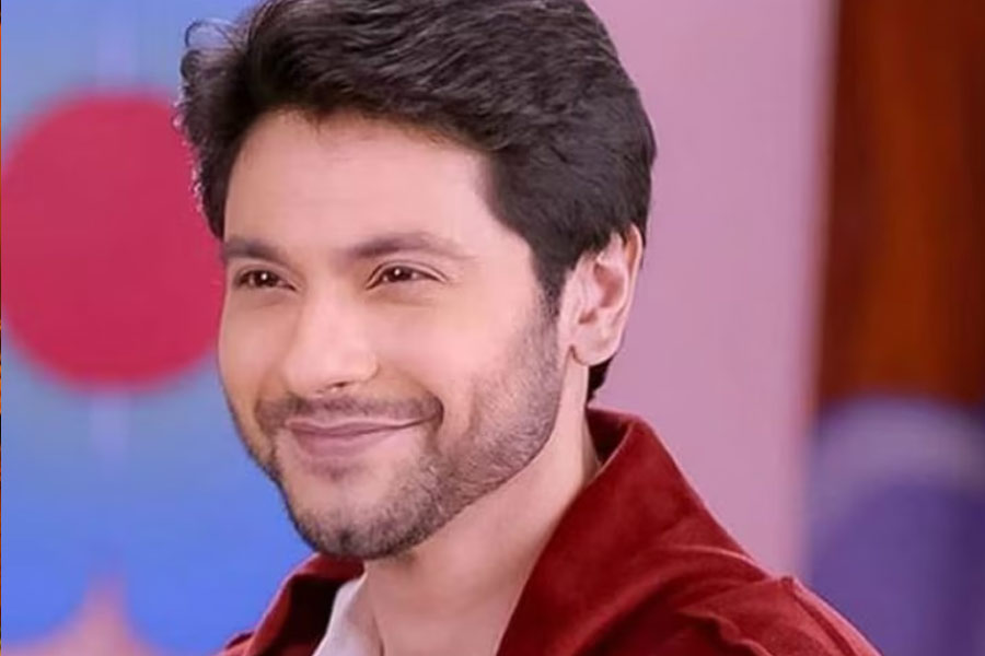 ‘লাগি তুঝসে লগন’, ‘কুমকুম ভাগ্য’, ‘লভ স্টোরি’র মতো হিন্দি ধারাবাহিকে অভিনয় করতে দেখা গিয়েছে টেলি অভিনেতা মিশাল রাহেজাকে। ২০২১ সালে মুক্তিপ্রাপ্ত ‘মুম্বই ডায়েরিস ২৬/১১’ ওয়েব সিরিজ়েও অভিনয় করেন তিনি।