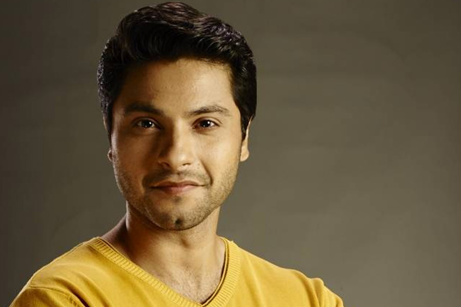 টেলিপাড়া সূত্রে খবর, সাম্প্রতিক কালে টেলিভিশনজগতের সর্বোচ্চ উপার্জনকারী তারকাদের তালিকায় প্রথম সারিতে রয়েছেন মিশাল। হিন্দি ধারাবাহিকে প্রতি পর্বে অভিনয় করে দেড় লক্ষ টাকা আয় করেন তিনি।