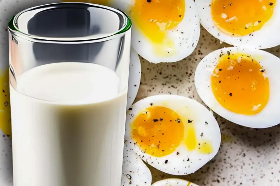 চিকিৎসক জানালেন, সকালে শ্রমিকদের সিদ্ধ ডিম, দুধ, চা, ডালিয়া পাঠানো হচ্ছে। দুপুরে এবং রাতে ডাল, চাপাটি, ভাত, সব্জি দেওয়া হচ্ছে। খাওয়ার জন্য ফেলে দেওয়ার মতো প্লেটও দেওয়া হচ্ছে।