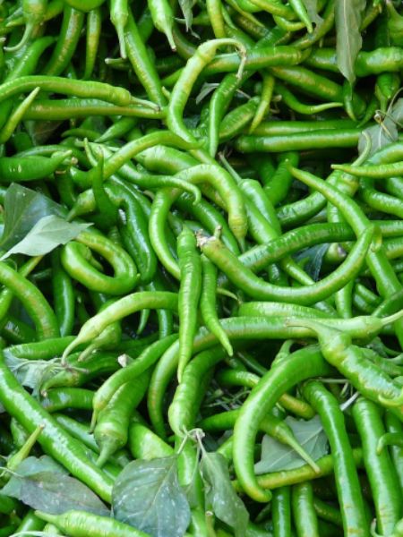 Know amazing health benefits of eating green chilies dgtl