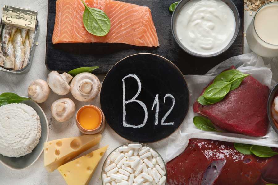 Which organs may get severely affected due to Vitamin B12 deficiency.