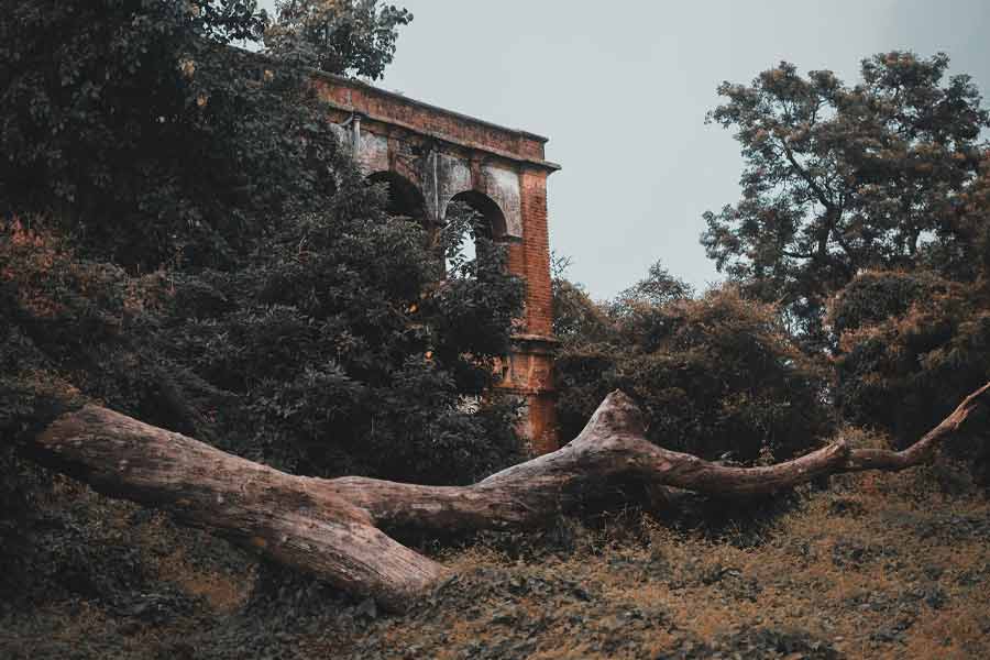 Largest ghost town in the world Famagusta-Varosha sank into silence