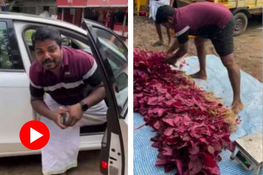 Kerala farmer drives an Audi to the market to sell spinach.