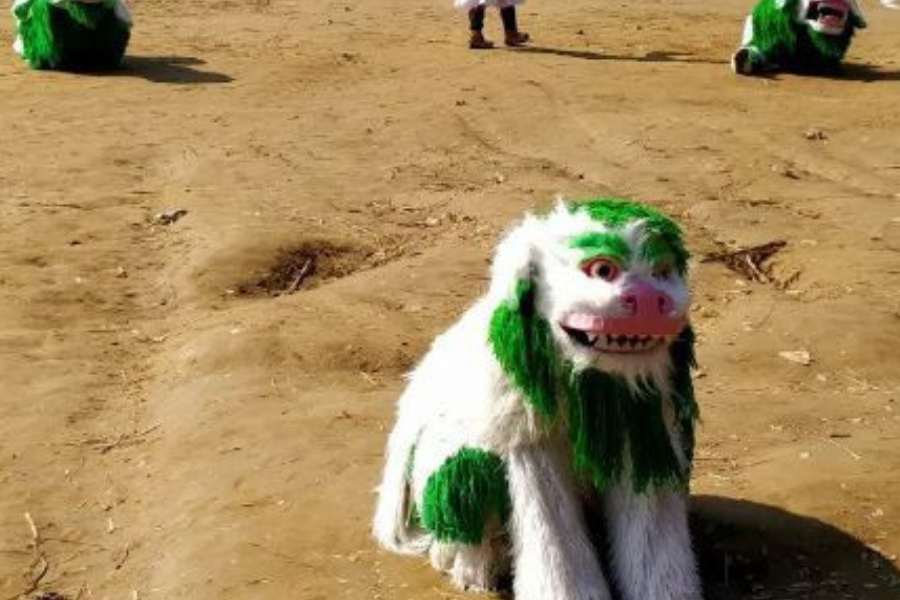 সবশেষে আগমন ঘটে ‘সিংহ নাচ’-এর। এই নাচে অংশ নেয় এখানকার তাওয়াং-এর শিল্পীরা। মুখ সমেত গোটা শরীর ঢাকা থাকে সিংহ আর তাদের শাবকের মুখোশে! এই নাচের পারফরম্যান্সটা অনেকটাই চিনাদের বর্ষবরণের নাচের মতো।