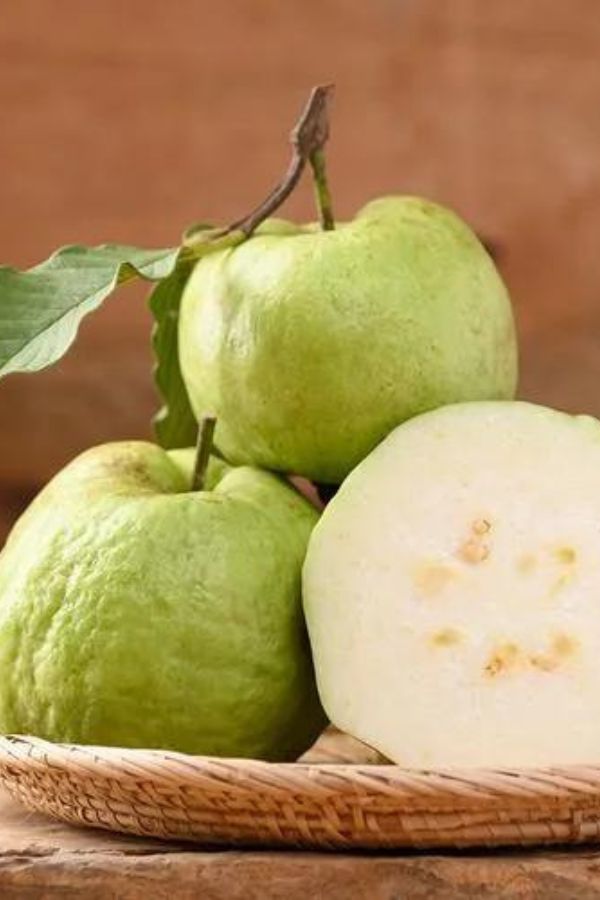 পেয়ারা:  পেয়ারা এমন একটি ফল যার মধ্যে শুধু মাত্র ভিটামিন সি নয়, খনিজ, পটাসিয়াম ও অন্যান্য উপাদান থাকে। যা দেহের পুষ্টি জোগাতে অনেক সাহায্য।