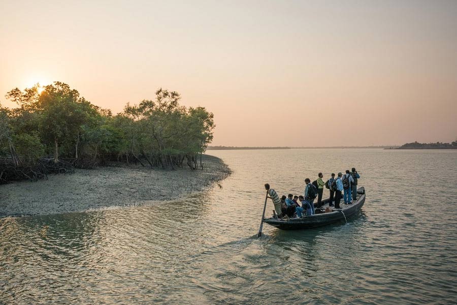 Forest workers killed by poachers in Sundarbans, complaint filed in Police dgtld