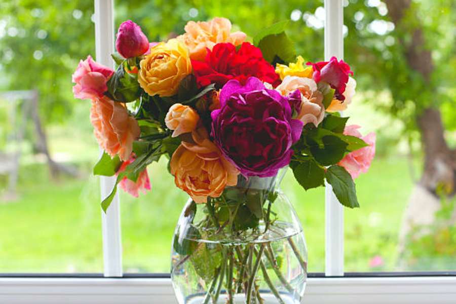 গোলাপের সাজ: গোলাপ ফুল প্রিয় নয়, এমন মানুষ খুবই অল্প আছে। কথাতেই আছে, যে মানুষ গান, শিশু আর গোলাপ ভালোবাসে না, সে খুন করতে পারে! গোলাপের সুবাস এই ফুল দিয়ে ঘরদোর সাজানোর ক্ষেত্রে একটা বিরাট বাড়তি প্রাপ্তি। এই সজ্জায় সবচেয়ে বেশি ব্যবহৃত হয় গোলাপের পাপড়ি। লাল গোলাপের পাপড়ি মনকে একটা অদ্ভুত তৃপ্তি দেয়, ইতিবাচক মানসিকতা তৈরি করে পরিবারে। 