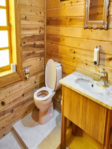 Scientists invented Super Slippery 3D Toilet bowl that nothing sticks to dgtl