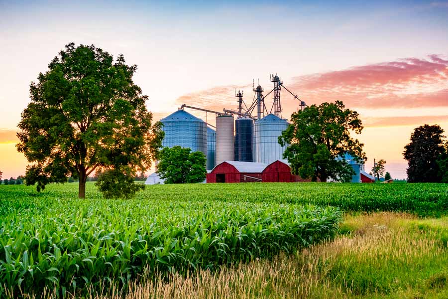 ভারত-কানাডার সম্পর্কের সমীকরণের উপর দুই দেশের পারস্পরিক লেনদেনের ভবিষ্যৎ নির্ভর করছে। আমদানিকারক সংস্থাগুলি সিঁদুরে মেঘ দেখছেন। যে কোনও মুহূর্তে ভারত সরকার কানাডার সঙ্গে বাণিজ্যে হ্রাস টানতে পারে বলে তাঁদের আশঙ্কা।