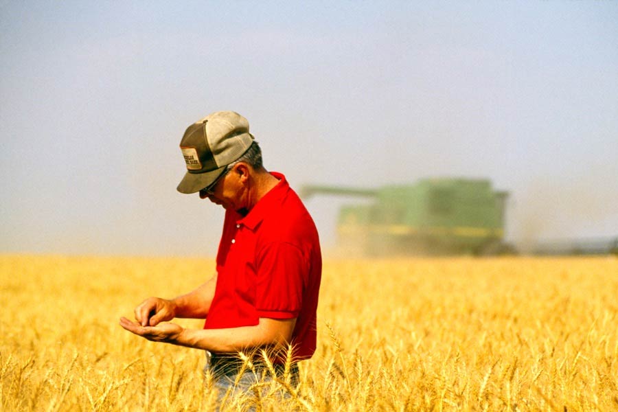 সুতরাং, ভারত চাইলেই ট্রুডোর মন্তব্যের ক্ষোভ উগরে দিতে পারে কানাডার সঙ্গে বাণিজ্যিক লেনদেনের উপর। তার ফল ভোগ করতে হবে কানাডার কৃষকদের।