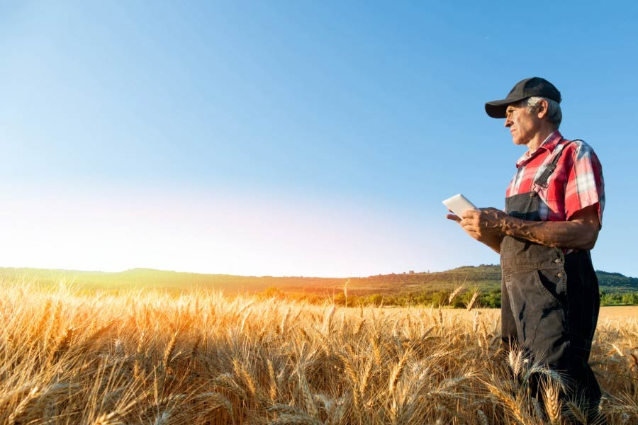 ভারত সরকার পুরোপুরি কানাডার সঙ্গে বাণিজ্য বন্ধ করে দেবে না বলেই মত বিশেষজ্ঞদের। ডাল আমদানিও বন্ধ হবে না। তবে তারা পরোক্ষে প্রতিশোধ তুলতে পারে।