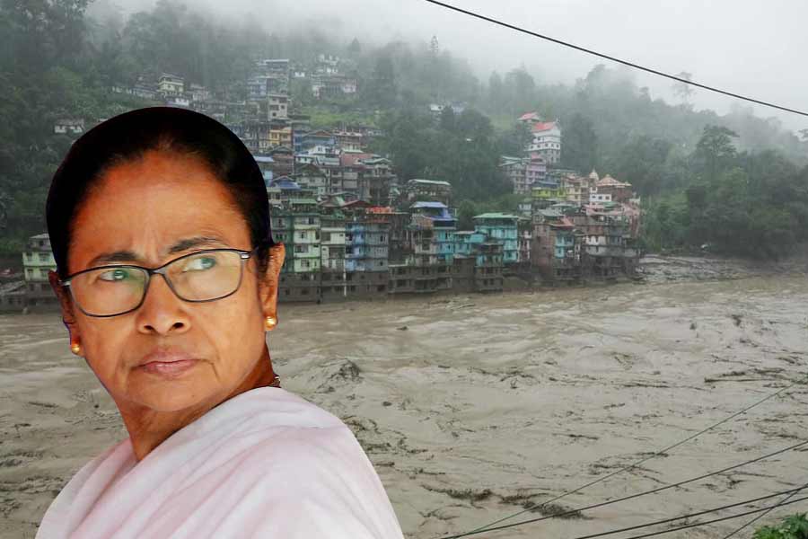 Image of CM Mamata Banerjee