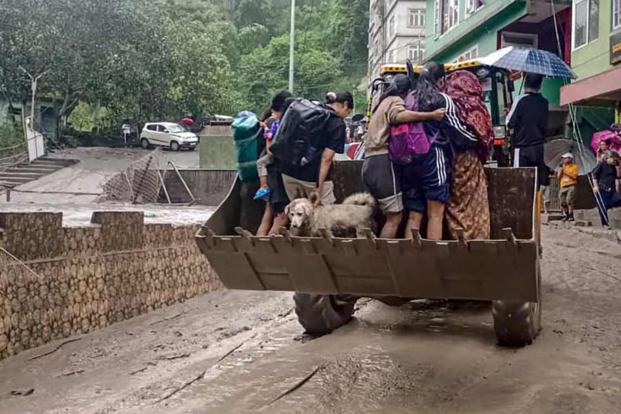 picture of Sikkim Flood in Tista river