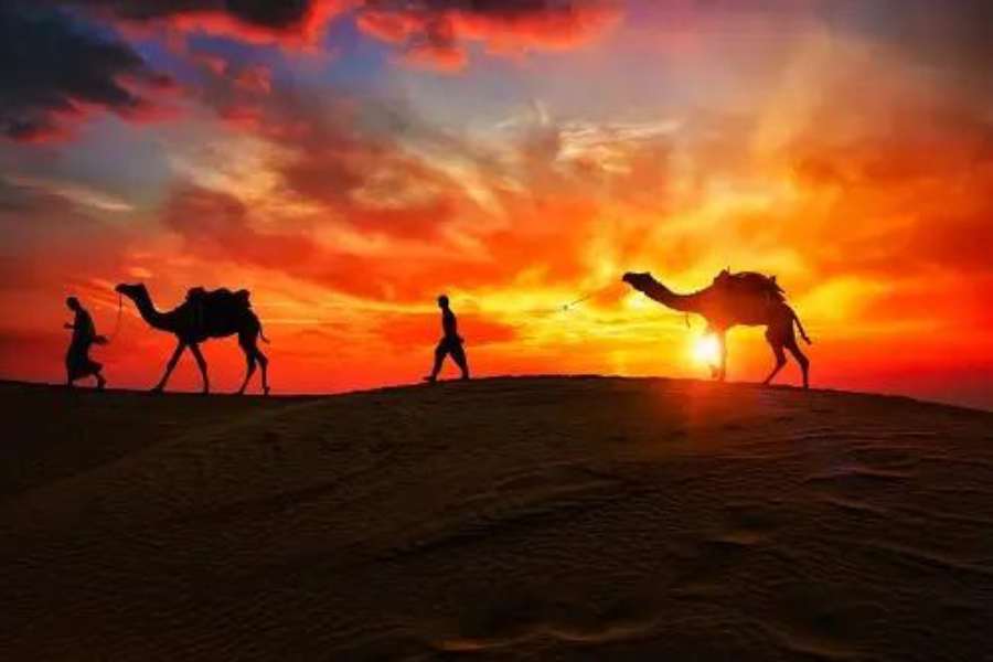 সে সব বলছি একটু বাদেই। কিন্তু তার আগে বলে নিই, মধ্যবিত্তদের বাজেট মতো যথেষ্ট ভাল তাঁবু আছে এখানে। তার সুযোগসুবিধে হয়তো তারকা-মার্কা নয়, কিন্তু যথেষ্ট ভাল এবং সরকার পরিচালিত। 