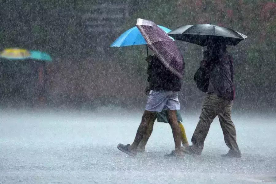 Red warning at North Bengal as heavy rain lashes over the area