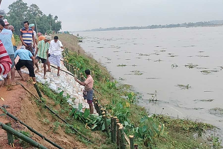 অতি ভারী বৃষ্টির কারণে কমলা সতর্কতা ছিল রবিবার। সোমবার জারি হয়েছিল হলুদ সর্তকতা। বুধবার পূর্ব বর্ধমানের জামালপুরের দামোদর এবং মুণ্ডেশ্বরী তীরবর্তী এলাকার গ্রামের মানুষকে পুজোর আগে বন্যার মুখে পড়তে হয়েছে। জামালপুরের সঙ্গে যোগাযোগ বিচ্ছিন্ন হয়ে গিয়েছে আশপাশের ১৩টি গ্রামে। জামালপুর ব্লকের অমরপুর গ্রামে যে অস্থায়ী কাঠের সেতু ছিল, সেটি খুলে দেওয়া হয়েছে দামোদরের নদে জলস্তর বৃদ্ধির কারণে। অসুবিধার মধ্যে পড়েছেন অমরপুর, শিয়ালী, কোরা, মাঠশিয়ালী, মুইদিপুর, উজিরপুর, রেশলাতপুরের সাধারণ মানুষ। রায়না-২ ব্লকের গোতান গ্রাম পঞ্চায়েতের কোটশিমুল গ্রামের কাছে মুণ্ডেশ্বরী নদীতে ভাঙন দেখা দেওয়ায় আতঙ্কিত বাসিন্দরা। খবর পেয়ে বুধবার সকাল থেকেই ভাঙন মেরামতিতে নামে সেচ দফতর। গ্রামবাসীদের দাবি, ১০০ ফুট মতো অংশে ভাঙন দেখা দিয়েছে। সেচ দফতর যদিও মনে করছে, খানিকটা জল নামলে মেরামতের কাজ করতে সুবিধা হবে। সেচ দফতরের আধিকারিক রমেশ চন্দ্র জানান, এই সমস্যাটি এখনও খুব বড় আকার নেয়নি। তাঁরা ব্যবস্থা নেবেন। 