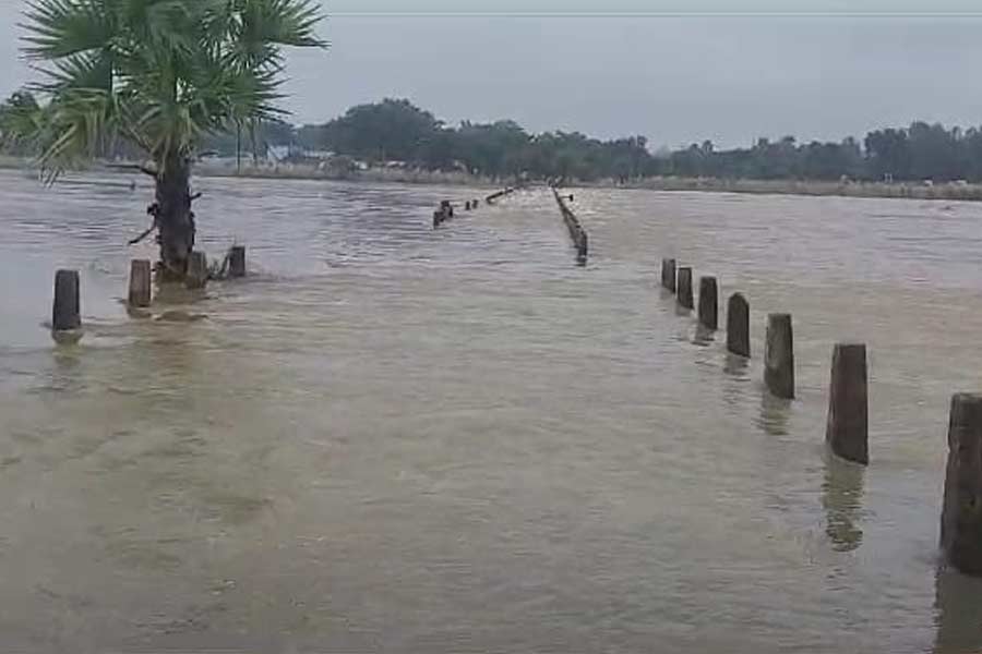 ডিভিসির দুর্গাপুর ব্যারাজ থেকে ছাড়া জলের পরিমাণ কমে যাওয়ায় বাঁকুড়ার দামোদর তীরবর্তী এলাকায় বন্যার আশঙ্কা কমেছে। বাঁকুড়ায় চিন্তা বাড়াচ্ছে দ্বারকেশ্বর নদ। বুধবারও বাঁকুড়া জেলা জুড়ে লাগাতার বৃষ্টি হওয়ায় নদের জলস্তরের উচ্চতা ক্রমাগত বৃদ্ধি পেয়েছে। নদের উপর থাকা তিনটি সেতু জলের তলায় চলে গিয়েছে। বাঁকুড়া শহর লাগোয়া মীনাপুর, ভাদুল ও কেঞ্জাকুড়া গ্রাম লাগোয়া ভেলাইডিহা সেতু ডুবে থাকায় সেতুগুলি দিয়ে যাতায়াত আগেই বন্ধ হয়ে গিয়েছিল। এর ফলে প্রায় ৩০টি গ্রামের মানুষ সমস্যায় পড়েছেন। মঙ্গলবার বিকাল থেকে দুর্গাপুর ব্যারাজ থেকে ছাড়া জলের পরিমাণ ধীরে ধীরে কমিয়ে আনায় সোনামুখী, ইন্দাস এবং পাত্রসায়ের ব্লকের নিচু এলাকাগুলিতে বন্যার যে আশঙ্কা তৈরী হয়েছিল, সেই আশঙ্কা আপাতত কেটেছে বলে জানিয়েছে বাঁকুড়া জেলা প্রশাসন। বুধবার বিকালে সরেজমিনে সোনামুখী ব্লকের নিচু এলাকাগুলি ঘুরে দেখেন বাঁকুড়ার জেলাশাসক এন সিয়াদ ও পুলিশ সুপার বৈভব তিওয়ারি-সহ পুলিশ ও প্রশাসনের আধিকারিকরা। বাঁকুড়া জেলা প্রশাসন সূত্রে জানা গিয়েছে শুক্রবার থেকে টানা বৃষ্টিতে জেলা জুড়ে সম্পূর্ণ ক্ষতিগ্রস্ত হয়েছে ৪৪০টি কাঁচা বাড়ি। আংশিক ভাবে ক্ষতিগ্রস্ত হয়েছে ১৯৬৪টি কাঁচা বাড়ি। 