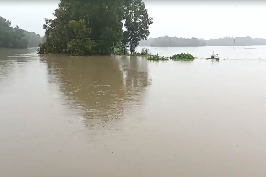 গত কয়েক দিনের বৃষ্টিতে পূর্ব মেদিনীপুরের একাধিক জায়গা জলমগ্ন। ইতিমধ্যে পটাশপুরে বন্যা পরিস্থিতি তৈরি হয়েছে। বাগুই নদীর জল ঢুকে গ্রামের পর গ্রাম প্লাবিত। বস্তুত, নদীর জল উপচে হু হু করে জল ঢুকছে দুই মেদিনীপুরেই। রবিবার রাত থেকে টানা বর্ষণের পাশাপাশি একাধিক জলাধার থেকে জল ছাড়া হয়েছে। বাগুই এবং কেলেঘাই নদী উপচে জল ঢুকছে পটাশপুর-১ ব্লকের গ্রামগুলোতে। ঘর ছেড়ে রাস্তায় আশ্রয় নিচ্ছেন এলাকাবাসীরা। বেশ কিছু মাটির বাড়িতে জল ঢুকে গিয়েছে। রাস্তাঘাট চলে গিয়েছে জলের তলায়। বিঘার পর বিঘা জমি থেকে পুকুর— সব ডুবেছে। প্রশাসনের তরফে প্রস্তুত রাখা হয়েছে ত্রাণশিবির। 