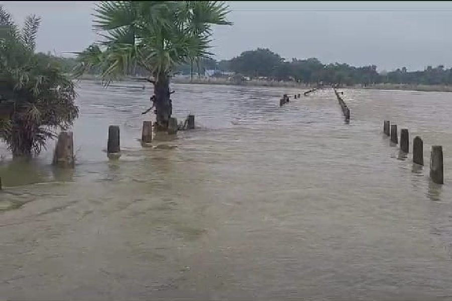 In Bankura, Damodar bank area has calmed down, but the Darkeshwar river is raising concerns dgtld