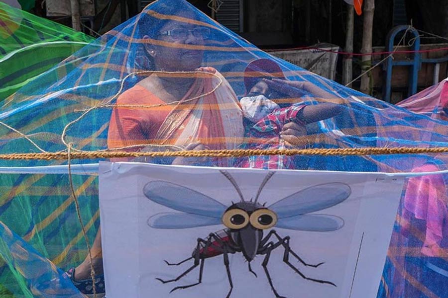 An image of Dengue
