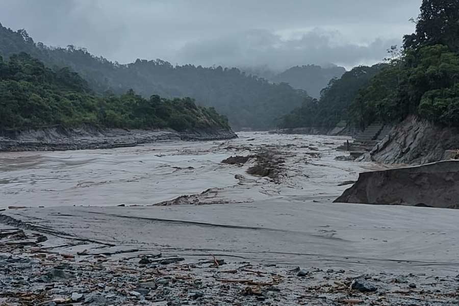 বৃহস্পতিবার সকালে বাগডোগরা বিমানবন্দরে নামেন পশ্চিমবঙ্গের রাজ্যপাল সিভি আনন্দ বোস। রাজ্যপাল নামার পরে বিমানবন্দরে নামেন রাজ্যের সেচমন্ত্রী পার্থ ভৌমিক। যদিও বিমানবন্দরে নামার পর রাজ্যপাল কোনও বক্তব্য পেশ করেননি। 