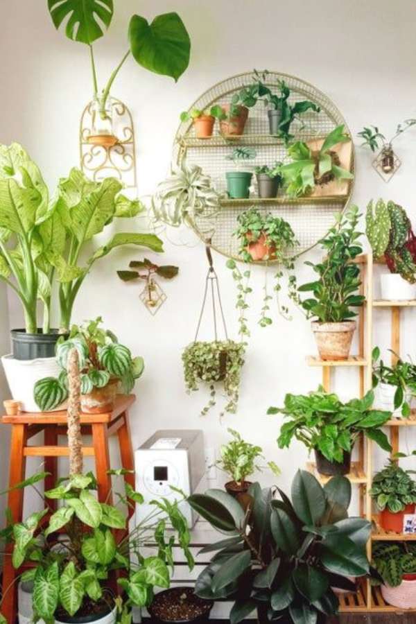 গাছ দিয়ে ঘর সাজানোর পদ্ধতি নতুন নয়। এর জন্য আলাদা করে কোনও কেনাকাটারও দরকার পড়ে না। বাড়ির ছাদে বা বাগানে হওয়া ছোট বড় গাছ, বনসাই দিয়েই চোখ বুজে ঘর সাজানো যায়। 