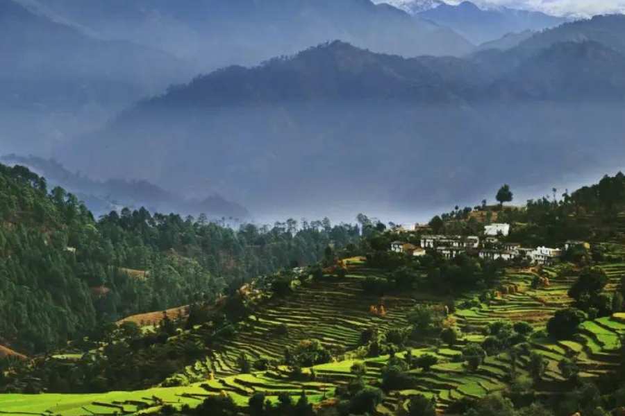 সবচেয়ে কাছাকাছি রেল স্টেশন দেরাদুন (২১৪ কিমি),  কাঠগোদাম (২৭৫ কিমি) এবং টনাকপুর (২৮৬ কিমি)। সড়কপথে প্রধানত দিল্লি থেকে রাষ্ট্রীয় পরিবহনের বাস এবং প্রাইভেট বাস ছাড়ে। এছাড়া,  অনেক ট্যাক্সি এবং জিপ ভাড়া পাওয়া যায়। সবের ভাড়া ঋতু,  বৃষ্টি, ধস, তুষারপাতের উপর কম-বেশি নির্ভর করে। তবে অত চাপ নেই। এই প্রতিবেদনটি ‘আনন্দ উৎসব’ ফিচারের একটি অংশ।