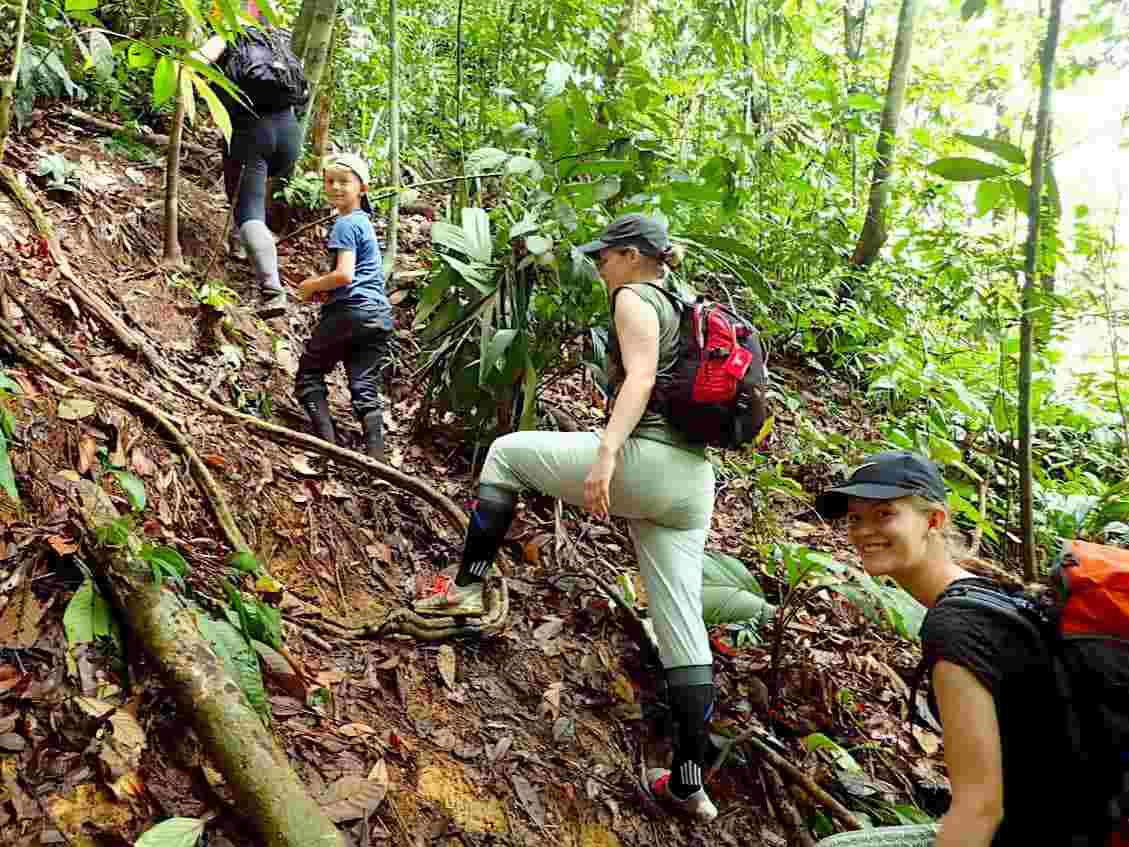 ১০. জঙ্গলের ট্রেকিং- পশ্চিম বাংলায় বিশেষ করে উত্তরবঙ্গে জঙ্গলের মধ্যে দিয়ে সহজ পথে বহু ট্রেকিং বহু দিন ধরে বেশ জনপ্রিয়। চান তো এমন পথে পা বাড়াতেই পারেন, এই পুজোতেই। 