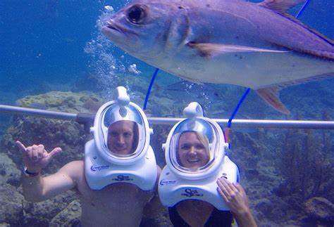 ১১. সৈকতের পাশে ট্রেকিং- একটি সমুদ্রকে পাশে রেখে দীর্ঘ পথ হাঁটা! মাঝে অসংখ্য গাঁ-গঞ্জ। সেখানে রাত্রিবাস। এক এক জায়গায় এক এক রকমের অভিজ্ঞতা। মানুষজন থেকে খানাপিনা থেকে স্থানীয় সংস্কৃতি! এই পুজো স্বাদ নিতে পারেন তার। এই প্রতিবেদনটি ‘আনন্দ উৎসব’ ফিচারের একটি অংশ।