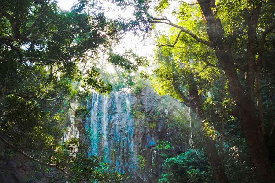 জায়গাটি ছত্তিশগড়ে। বিন্ধ পর্বতের কোল ঘেঁষা,  এখনও অবধি ভারতবর্ষের ভ্রমণ-মানচিত্রের একটি স্বল্প চেনা জায়গা।  মাইনপাট। স্থানীয় লোকজনেরা বলে থাকেন ছত্তিশগড়ের শৈলশহর। 
