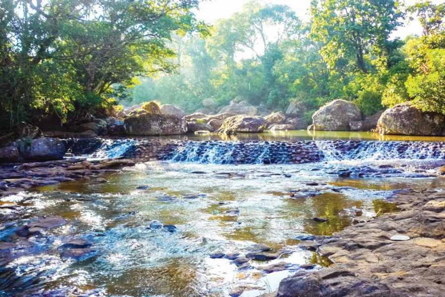 দীর্ঘ ছয় দশক ধরে এখানকার বাস করে তিব্বতি পরিবার। স্থানীয় মহলে খবর নিলে শোনা যায়, চিন-ভারত যু্দ্ধের পর পরই ১৯৬২ সালে বিন্ধপর্বতের পাদদেশের এই শৈলশহরে প্রথম তিব্বতিদের আগমন,  বসবাস করা কাজকারবার করা।  ঘর বাঁধা। 