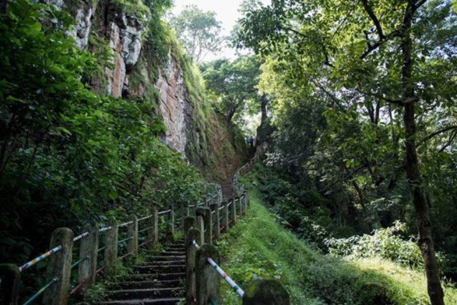 ভিসারপানি গ্রামের ভেতর অবস্থিত এই জলপ্রপাতের বিশেষত্ব এর নামের মধ্যেই লুকিয়ে আছে। উল্টাপানি— বিপরীতমুখী জল। মনে হবে,  উঁচু থেকে নীচে নয়, জলপ্রপাতটা যেন নীচ থেকে উপরের দিকে গড়াচ্ছে! পুরোটাই দৃষ্টিভ্রম! 