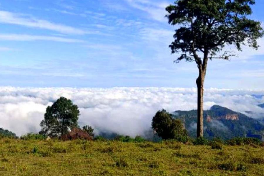 কীভাবে যাবেন: হাওড়া থেকে মুম্বইয়ের ট্রেনে ঝারসুগুদা স্টেশনে নেমে সেখান থেকে গাড়িতে ২০০ কিলোমিটার দূরত্বে মাইনপাট। সময় লাগে চার-পাঁচ ঘন্টা।
