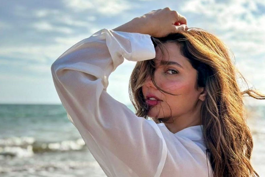 ২০২০ সালে সেলিম সম্পর্কে সামান্য ইঙ্গিত দিয়েছিলেন মাহিরা। ইনস্টাগ্রামে একটি ‘লাইভ’ পর্ব চলাকালীন মাহিরাকে পাকিস্তানের এক পোশাকশিল্পী হঠাৎ জিজ্ঞাসা করেন, ‘‘তুমি এখন প্রেম করছ, প্রেমিকের চোখের দিকে তাকালে সবার প্রথমে কী মনে হয়?’’