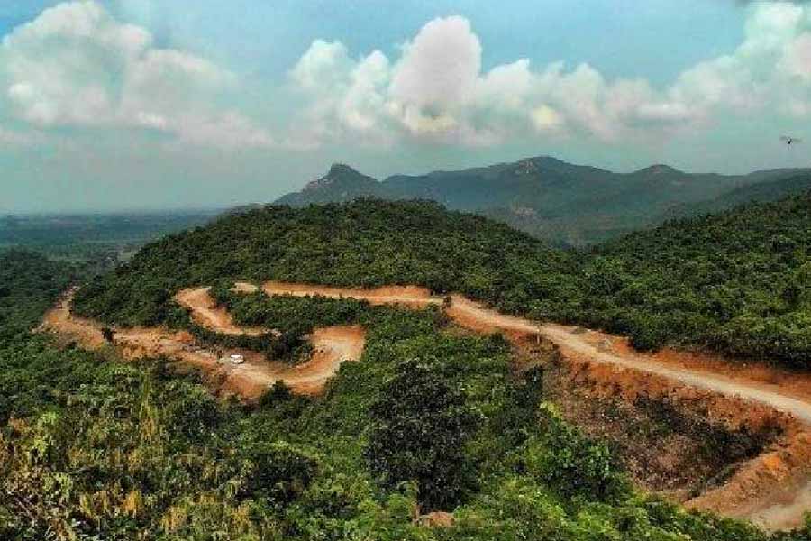 Image of Duarsini.