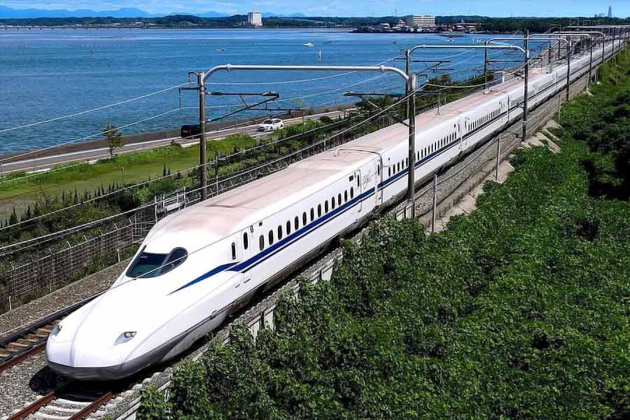 All you need to know about Horse Train in Pakistan