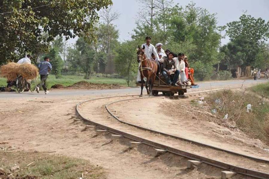 All you need to know about Horse Train in Pakistan