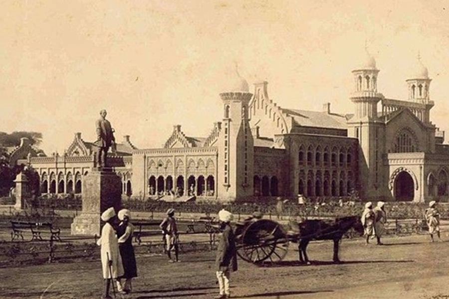 All you need to know about Horse Train in Pakistan