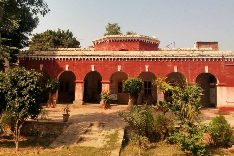 All you need to know about Horse Train in Pakistan