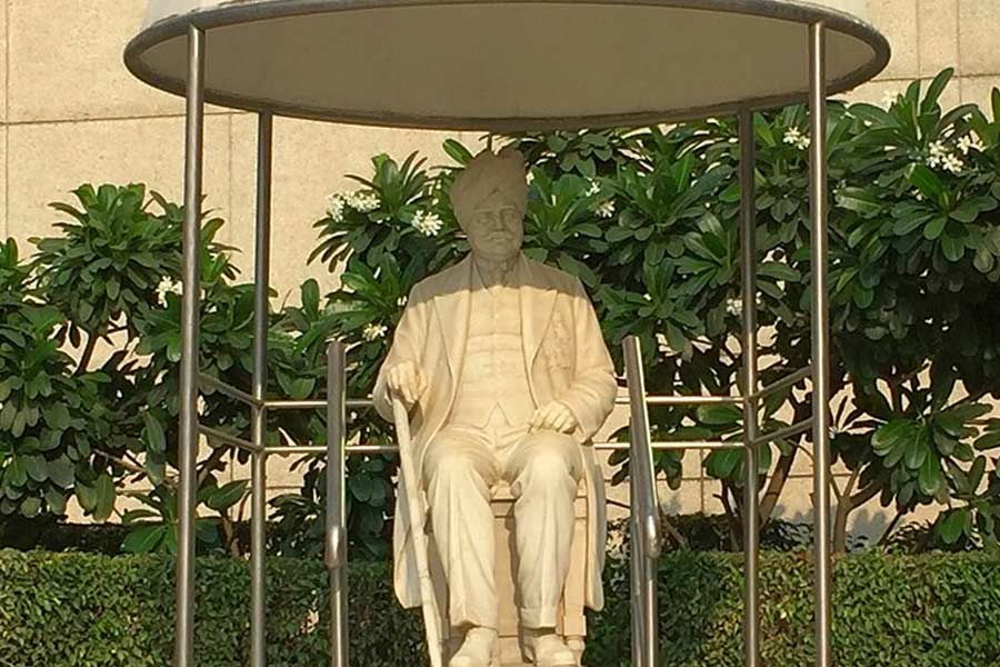 All you need to know about Horse Train in Pakistan