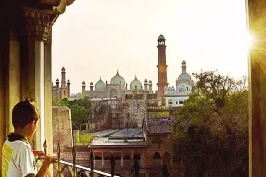 All you need to know about Horse Train in Pakistan