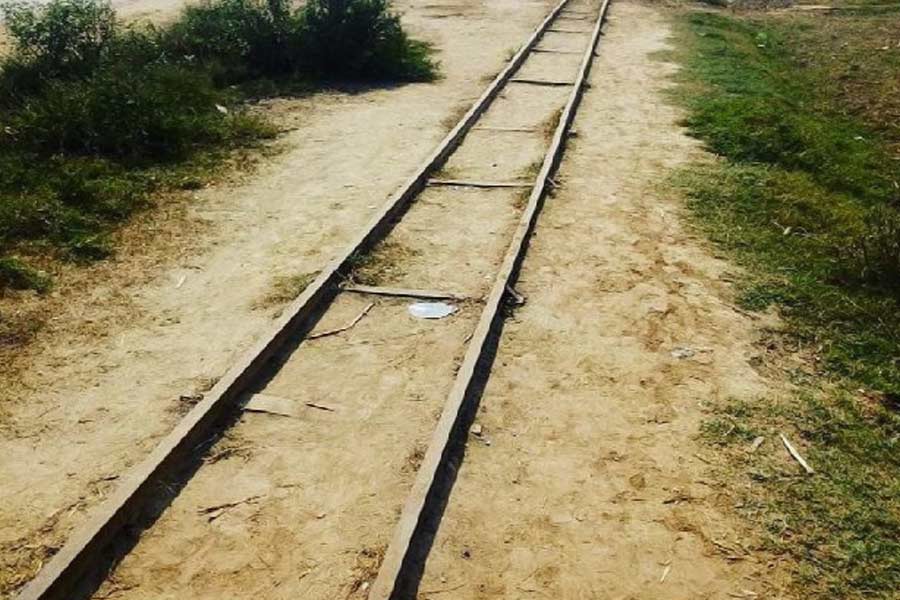 All you need to know about Horse Train in Pakistan