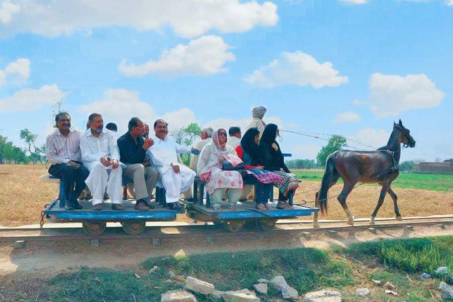 All you need to know about Horse Train in Pakistan