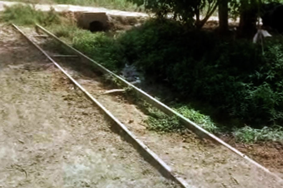 All you need to know about Horse Train in Pakistan