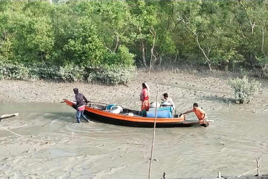 An image of Sundarbans