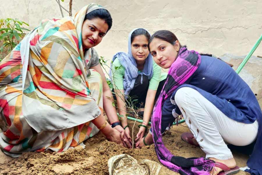 নীরু বলেন, ‘‘বীজ বা সার কেনার জন্য মহাজনদের কাছ থেকে চড়া সুদে ঋণ নিতেন গ্রামের চাষিরা। এর পর গ্রাম থেকে ১০ কিলোমিটারের বেশি হেঁটে বীজ, সার কিনতে যেতে হত তাঁদের। চাষিদের জন্য সরকারি প্রকল্পের সম্পর্কে বিশেষ কিছুই জানতেন না তাঁরা।’’ এফপিও-র মাধ্যমে এই ছবিটাই বদলাতে চান বলে জানিয়েছেন নীরু।